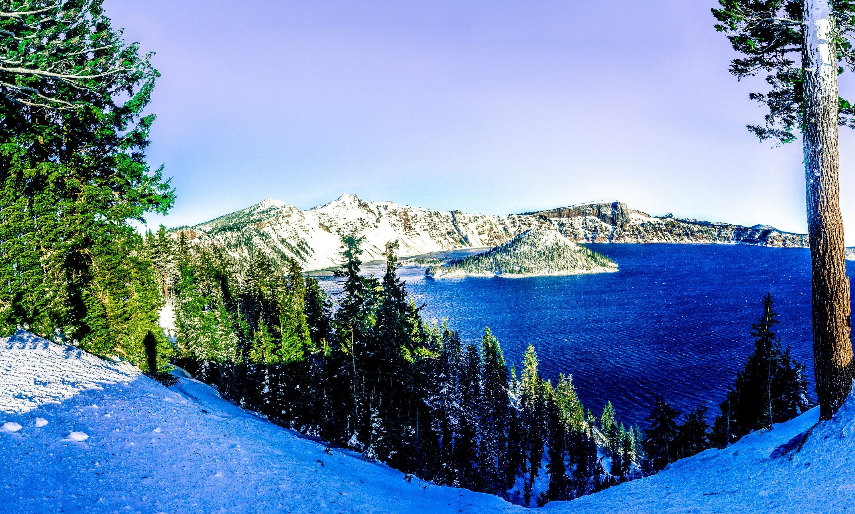 green trees near snow covered mountain during daytime